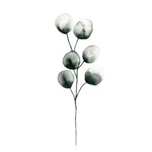 Meet your Posher, Quynh